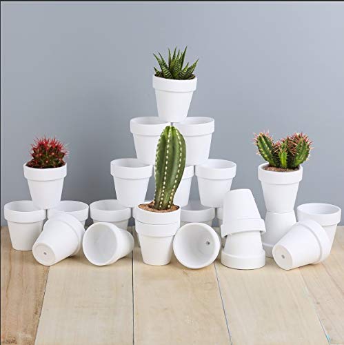 FCFKUK 24pcs Mini Clay Pots, 2.5'' Terracotta Pottery Planters, Cactus Flower Succulents Nursery Pots, with Drainage Hole, for Indoor/Outdoor