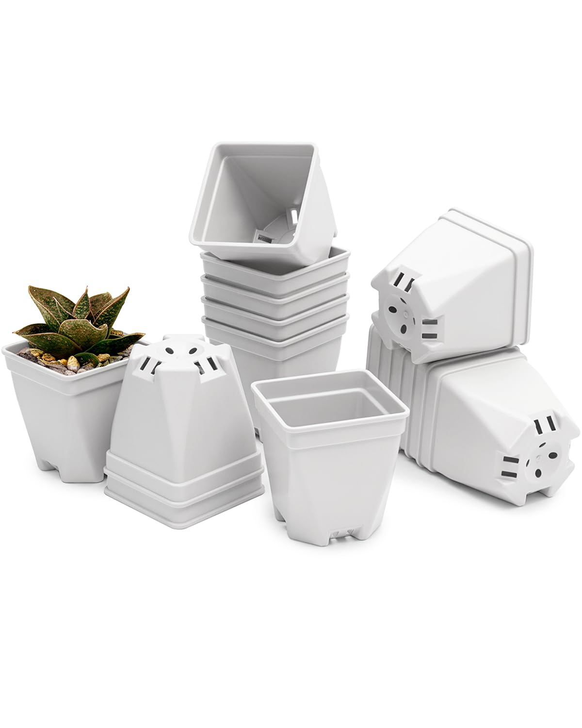 1.5-Inch Nursery Pots, Thick-Walled PP Plastic, for Home, Office & Garden, Seed Starting & Propagation (48, White)