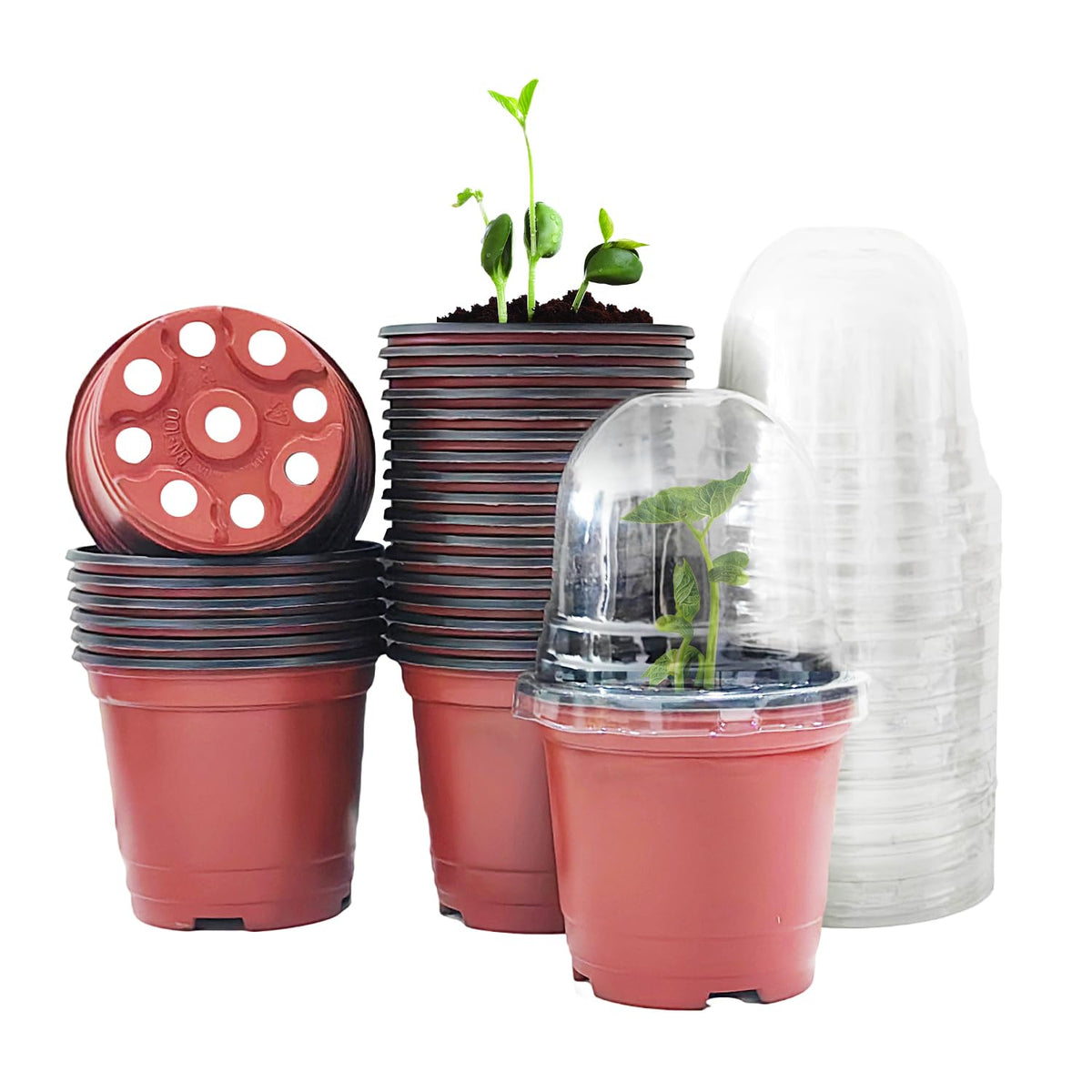 RooTrimmer Transparent Nursery Pots 3.5Inch with Humidity Domes for Seeds Starting, Clear Plastic Plant Pots with Drainage Holes (3.54Inch, 40Pcs,Clear Pots with Lids)