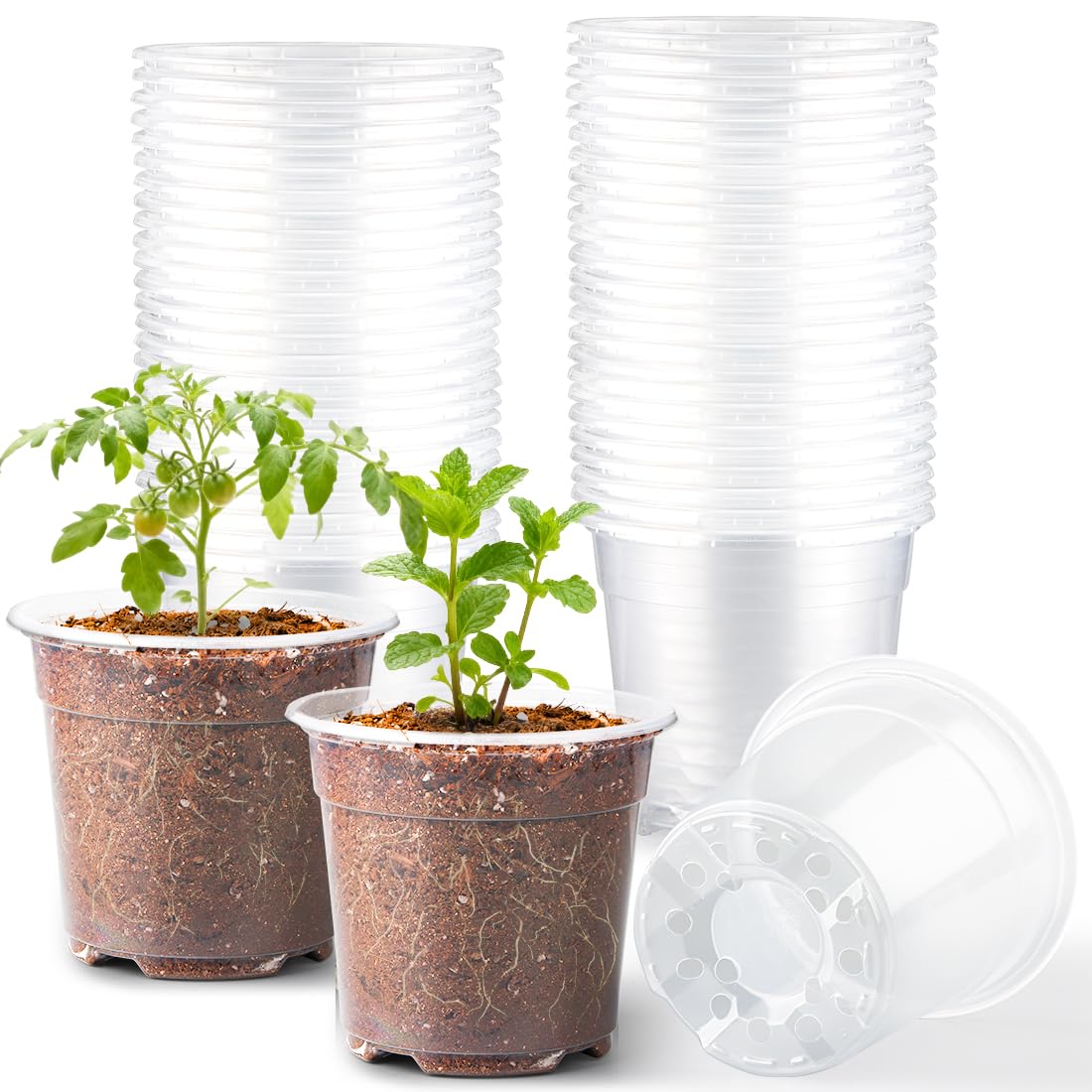 RooTrimmer 4" Clear Seeding Pots 50-Pack Round for Seeds Starting, Seeds Germination Transparent Nursery Pots with Drainage Holes (4Inch,Clear,50Pcs)
