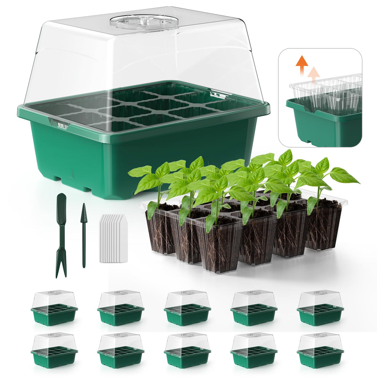 Seed Starter Tray, 10PCS Seed Starter Kit, Seedling Starter Trays with Heightened Lids for Seed Staring, Indoor Gardening Plant Germination Trays (12 Cells per Tray) Green