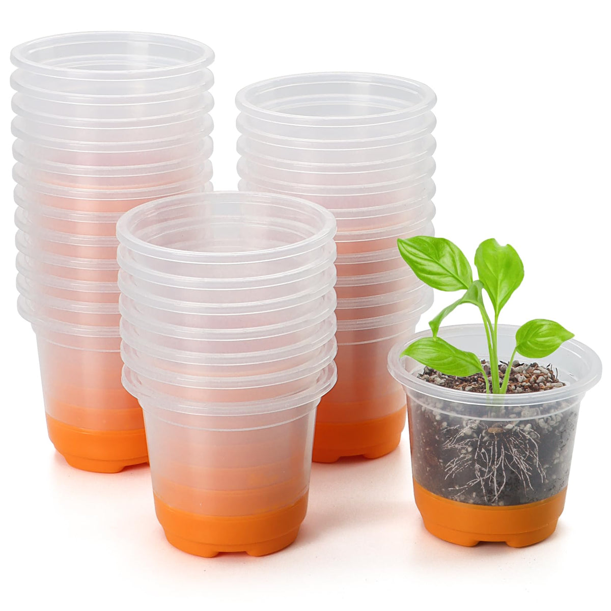 MIXC Clear Nursery Pots with Silicone Base, 4-Inch, 30-Pack