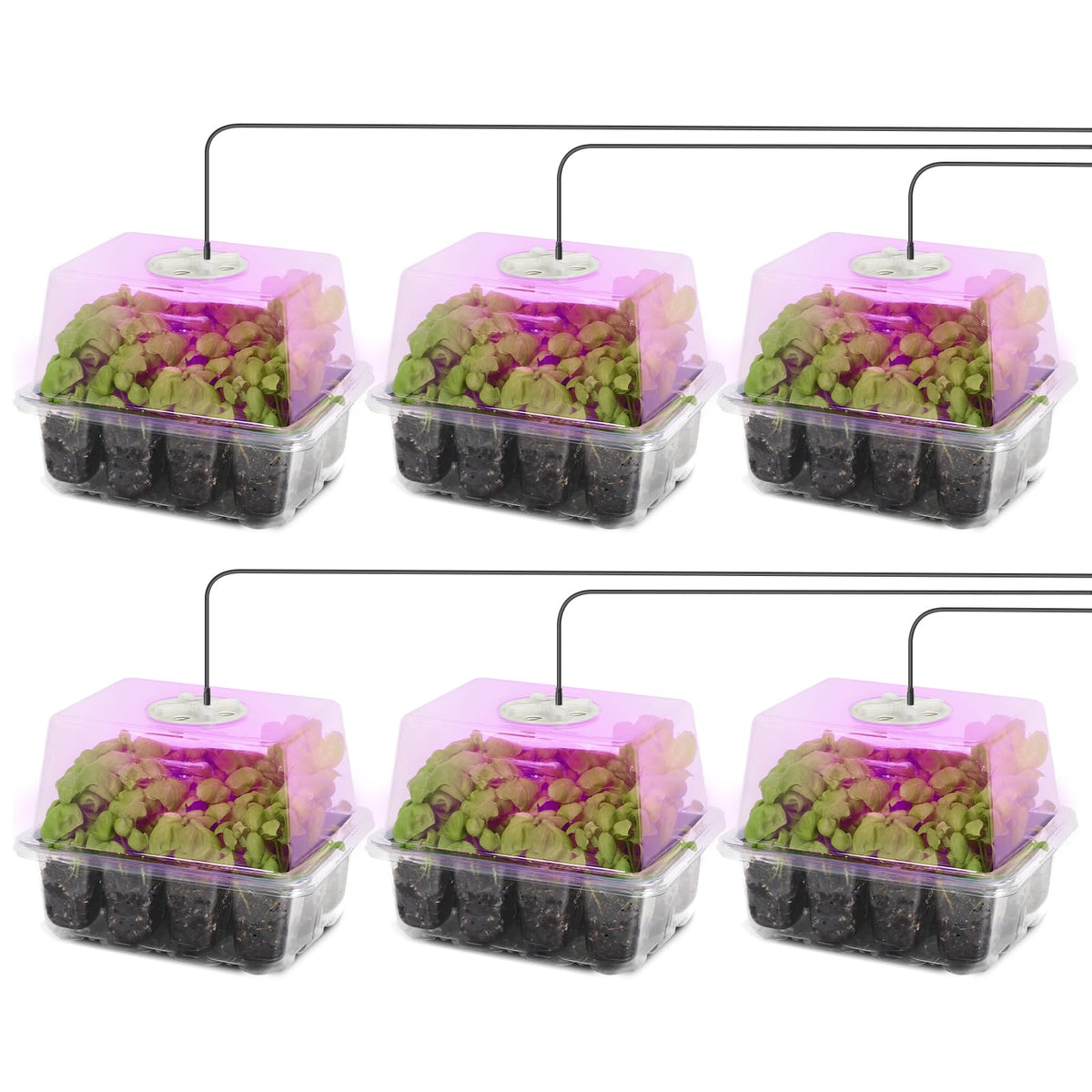 MIXC 6 Pack Seed Starter Kit with Grow Light, Vented Humidity Dome, Green