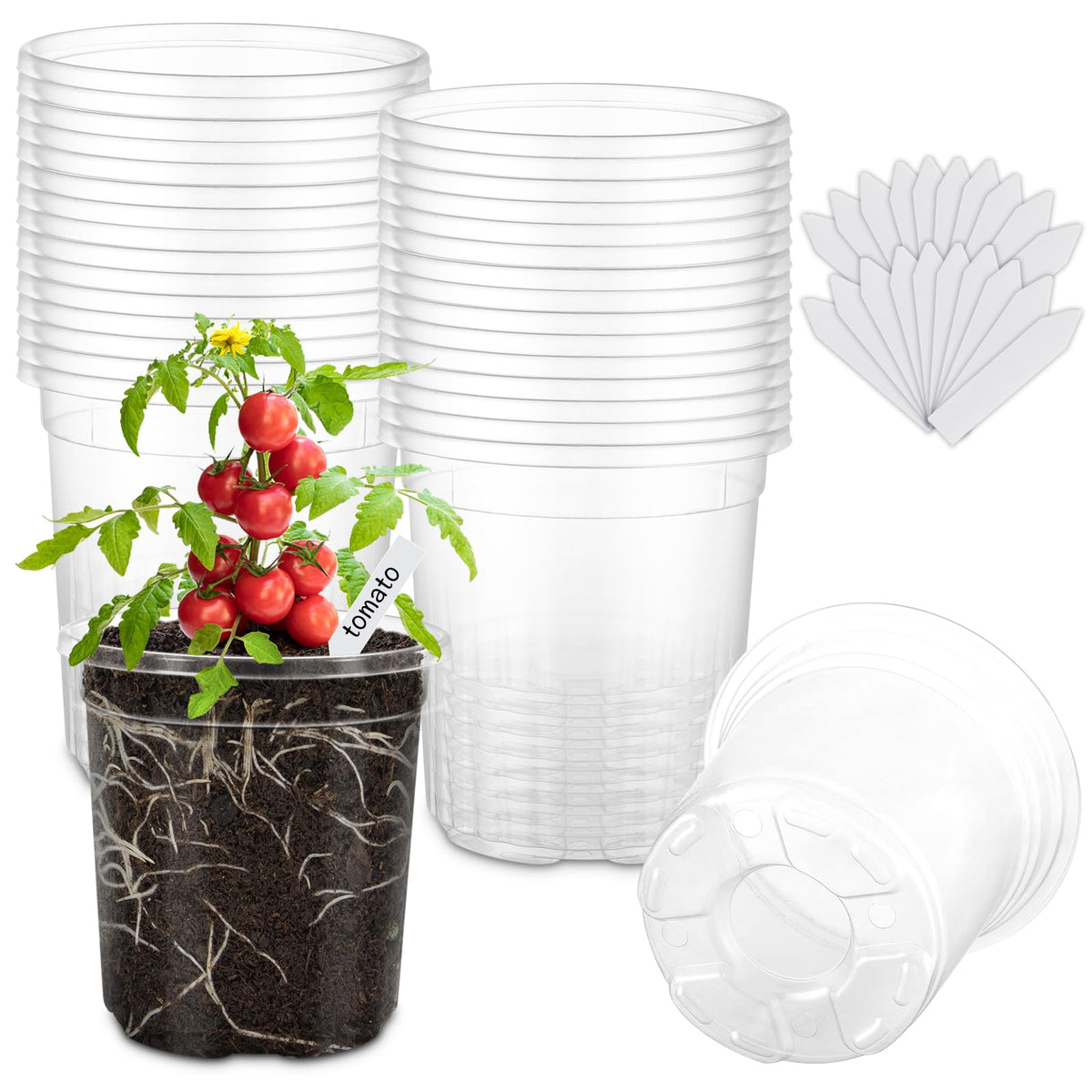 30 Pack Clear Nursery Plant Pots, 4 Inch with Drainage Holes, 20 Labels