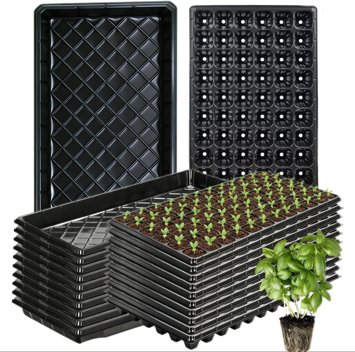 200 Cells Seed Starter Tray, 20 Pcs Biodegradable Plant Starter Peat Pots(Including T-Type Labels & Starter Tools)– Eco-Friendly Gardening Supplies, No Transplant Needed
