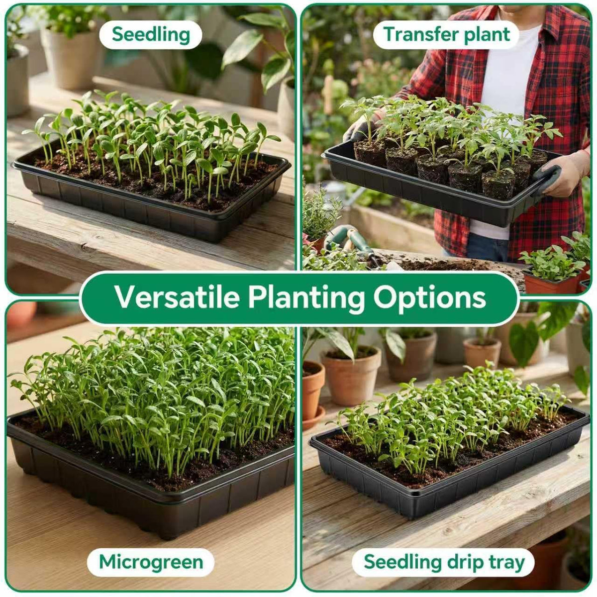10 Pack Plant Growing Trays, 17 x 11 Inch Seedling Trays, No Drain Holes