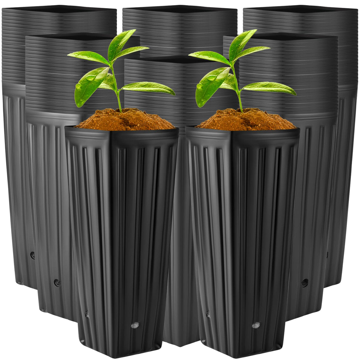 Nuenen Tall Tree Pot, Plastic Deep Nursery Pots