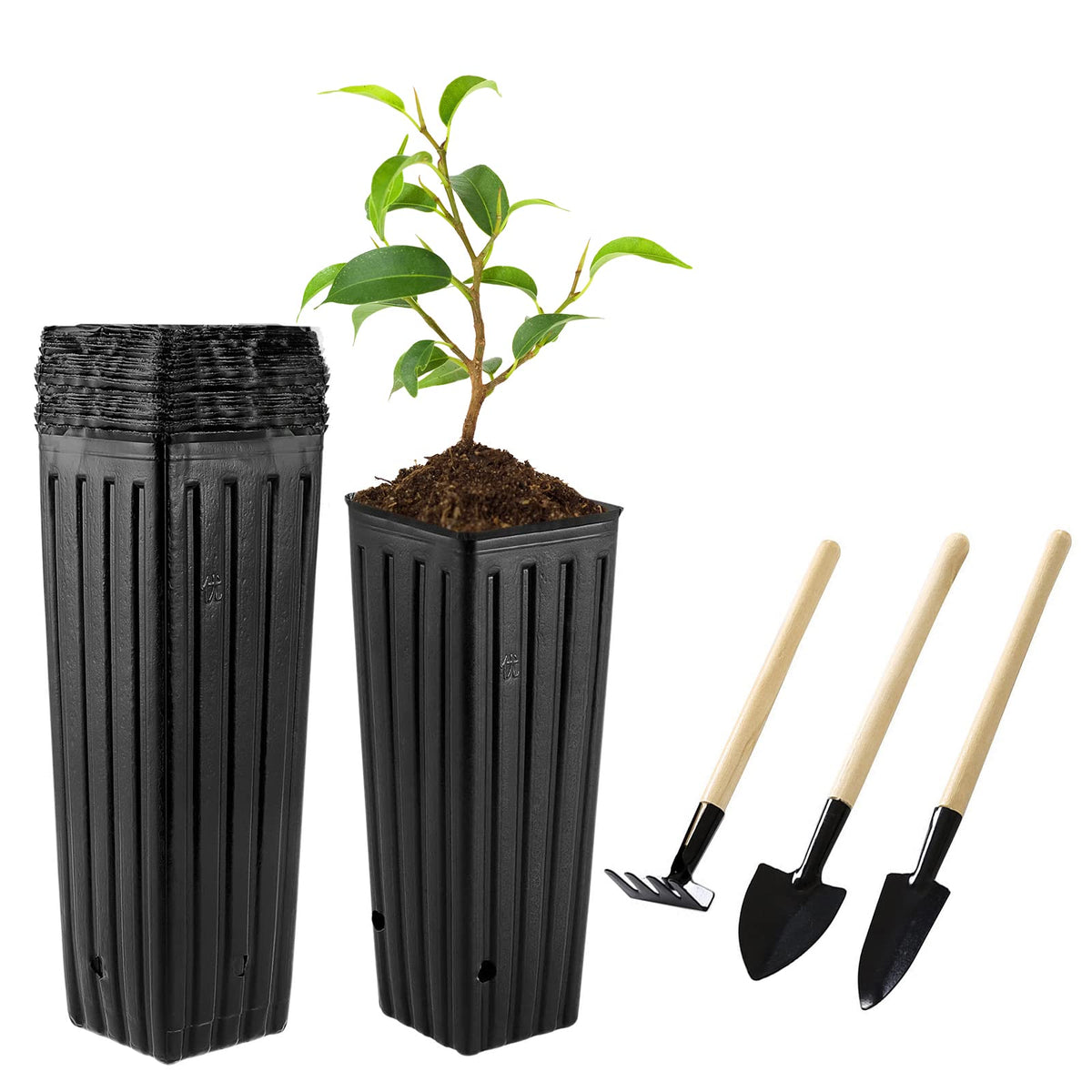 50 Pcs 12" Tall Tree Pots Plastic Deep Nursery Pots