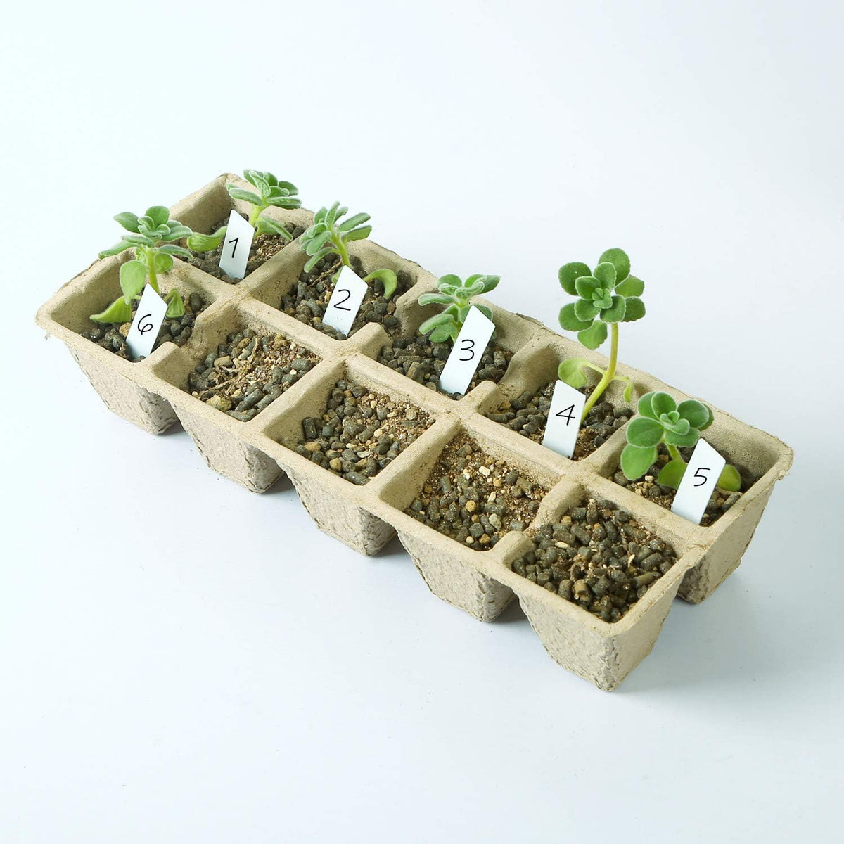 KEILEOHO 200 Cells Seed Starter Tray with 200 Labels, 20 Pack