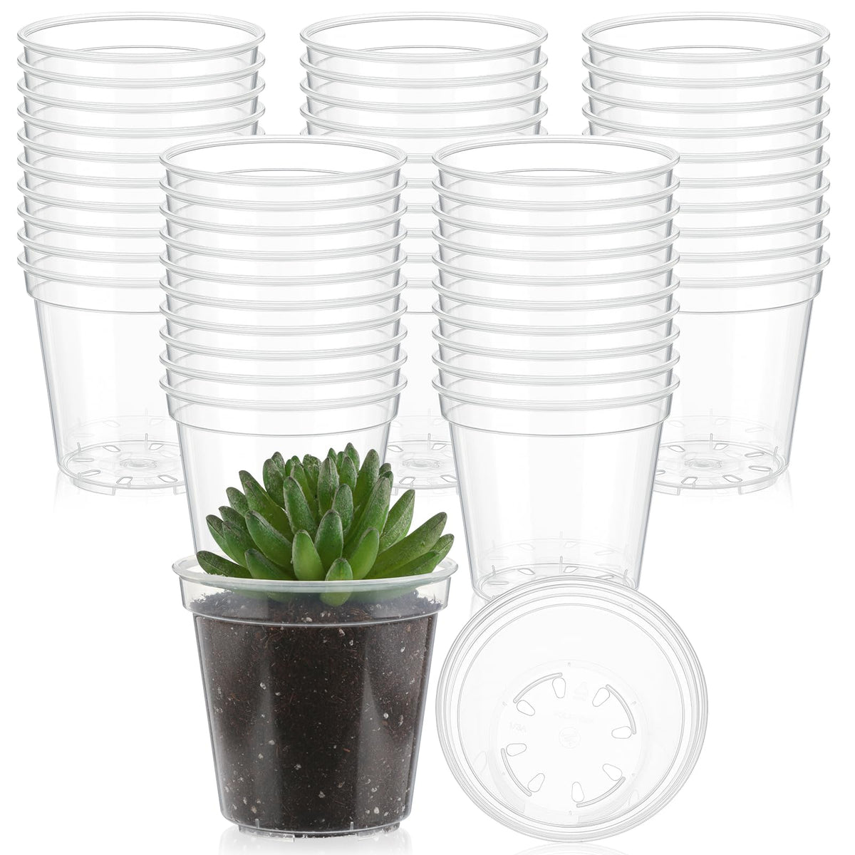Yaomiao 200 Pcs 2 Inch Clear Mini Nursery Pots with Drainage Holes