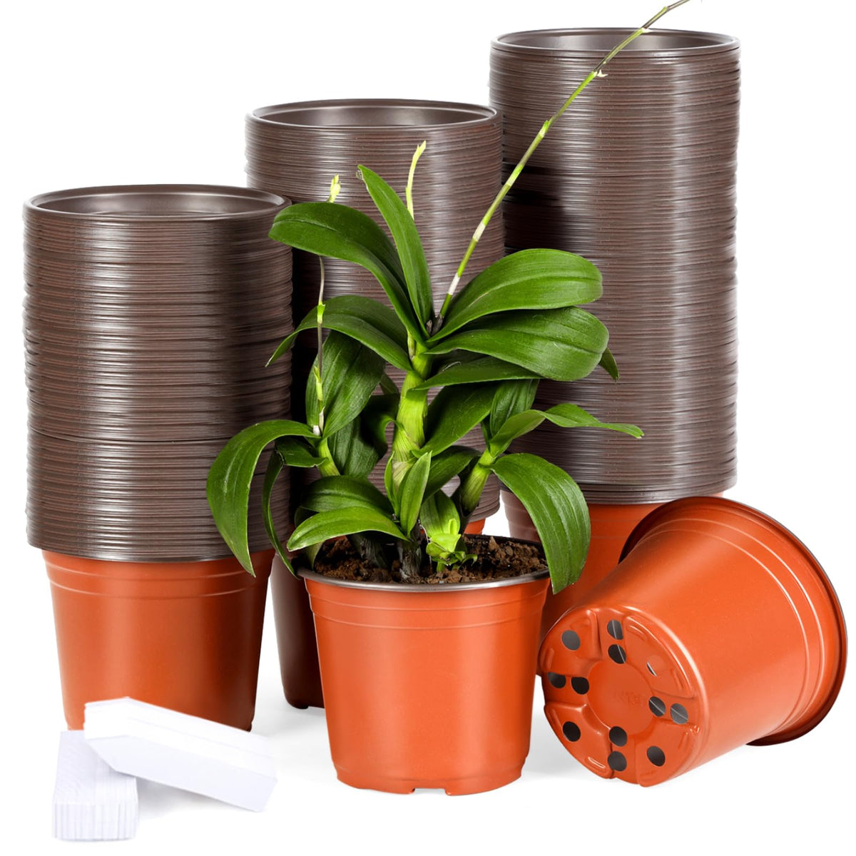4 Inch 300 Pack Plastic Nursery Pots with Drainage Holes with 300pcs Labels