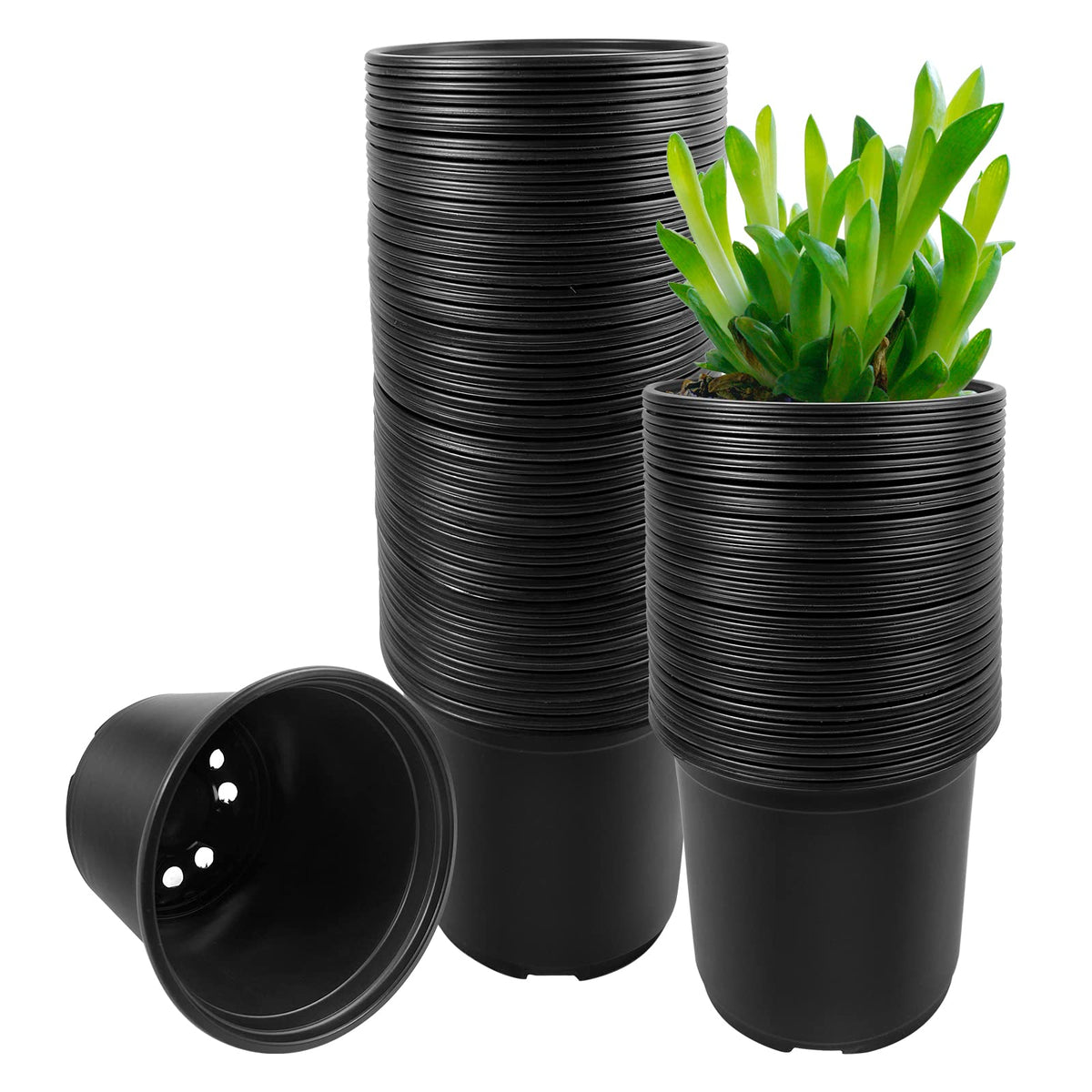 RAOOKIF 100 Pack Nursery Pots, 6 Inch Plastic Plant Pots with Drainage Holes, Black Garden Flower Pots for Transplanting, Succulents, Cuttings, Seedlings (6inch,100pcs)