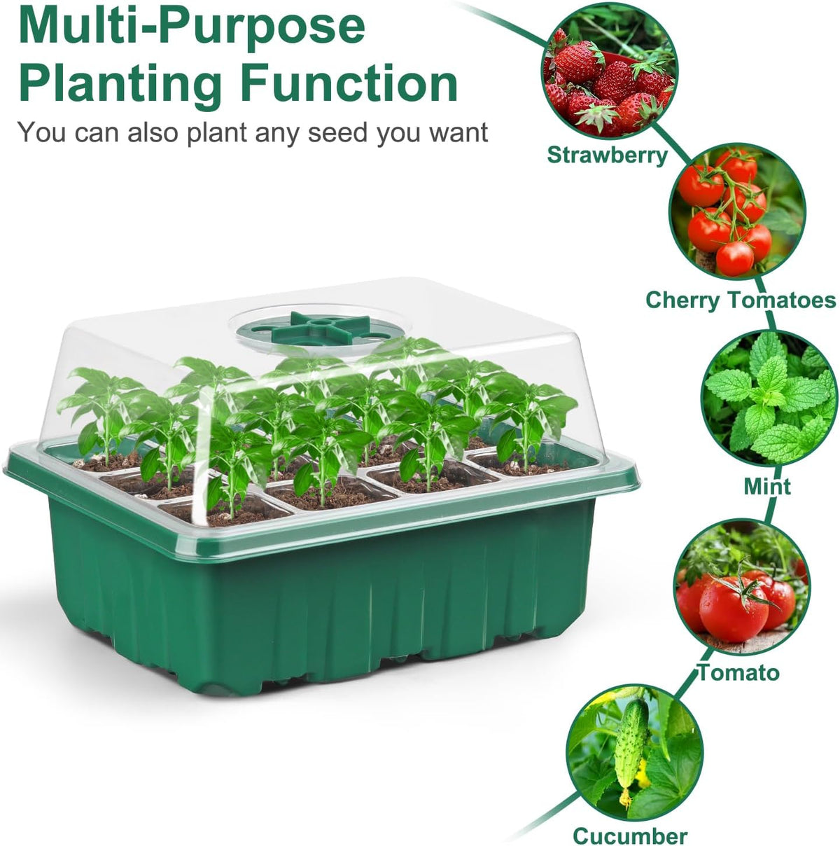 12 Pack Seed Starter Trays, 144Cell Stater Kit with Humidity Dome Green