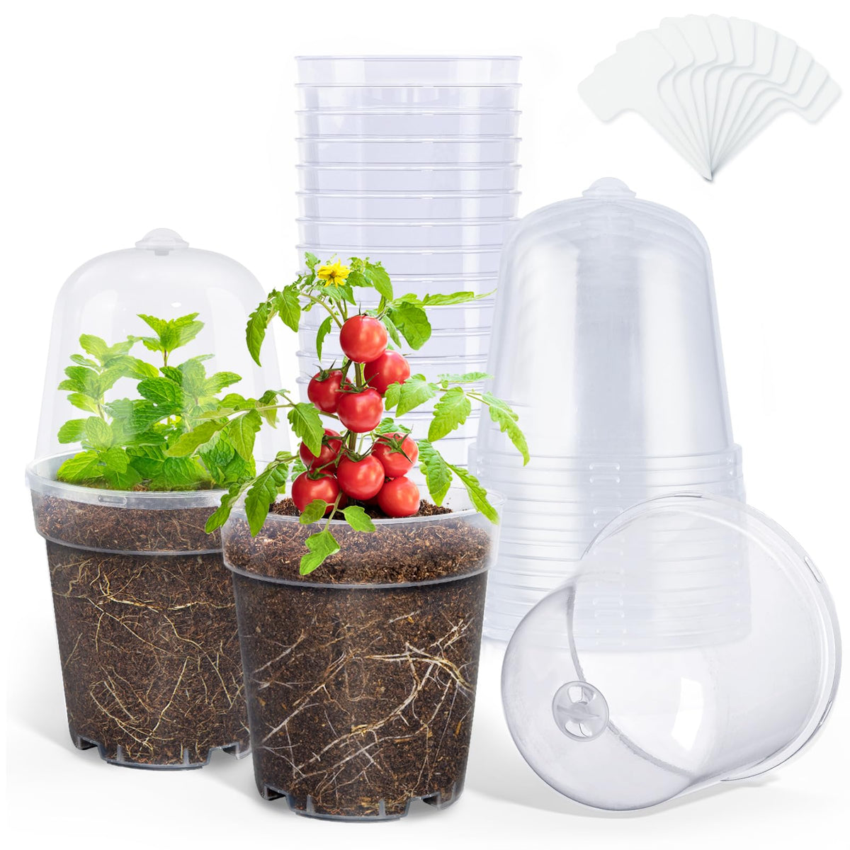 homenote 3/4/5 Inch Clear Nursery Pots with Drainage and 20 Labels (30 Pcs)