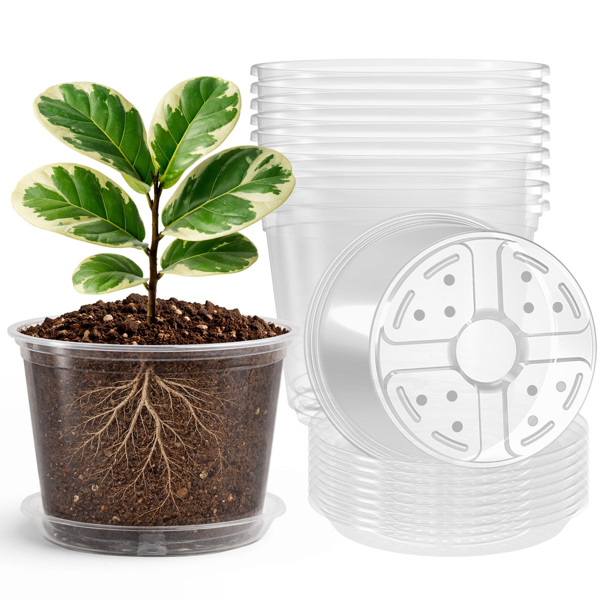 Bluepro Clear Nursery Pots with Drainage Holes, 3.5/4/5/7 Inch, 36-Pack