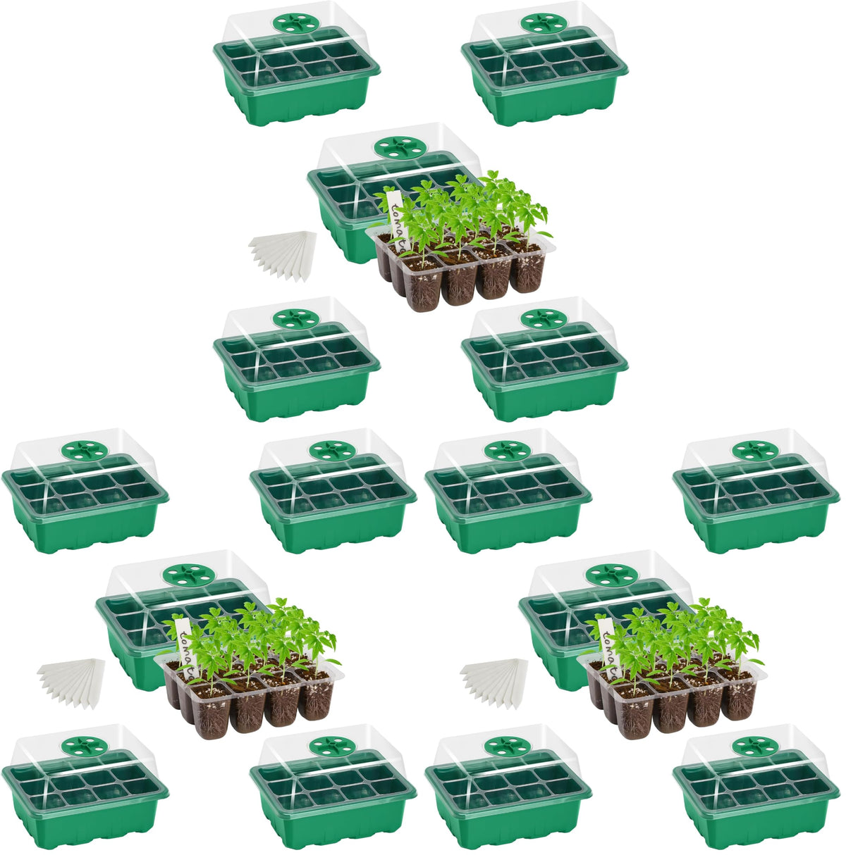 Bonviee 10-Pack Seed Starter Trays, Tall Dome, Base, 12-Cell Tray, Clear