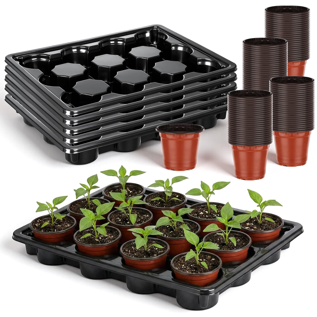 Lounsweer 6 Sets 4 Inch Plant Nursery Pots 72 Pcs and 12 Cell Plant Seed Starter Trays 6 Pcs, Sturdy Seeds Starting Germination Shuttle Carrying Trays, Small Planter Nursery Propagation(Black)