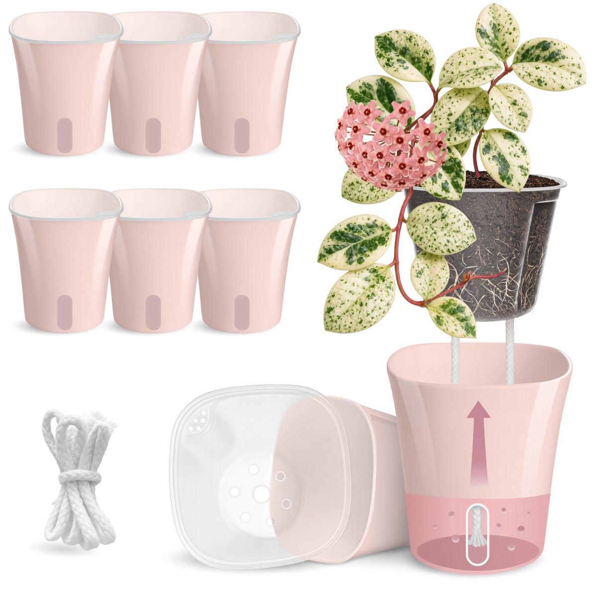 10 Pack 3" Self Watering Pots for Indoor Plants, Clear Inner Cup, Small Pink Plastic Planters, Water Level Indicator, Drainage Holes, Extra 3ft Wick, Cuttings,Seedlings,Herb,African Violet