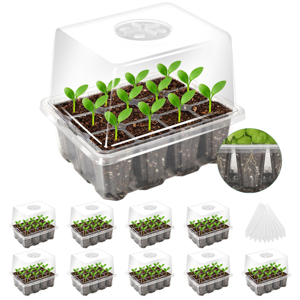 MIXC 10 Pack Seed Starter Tray, 120Cell Stater Kit with Humidity Dome Green