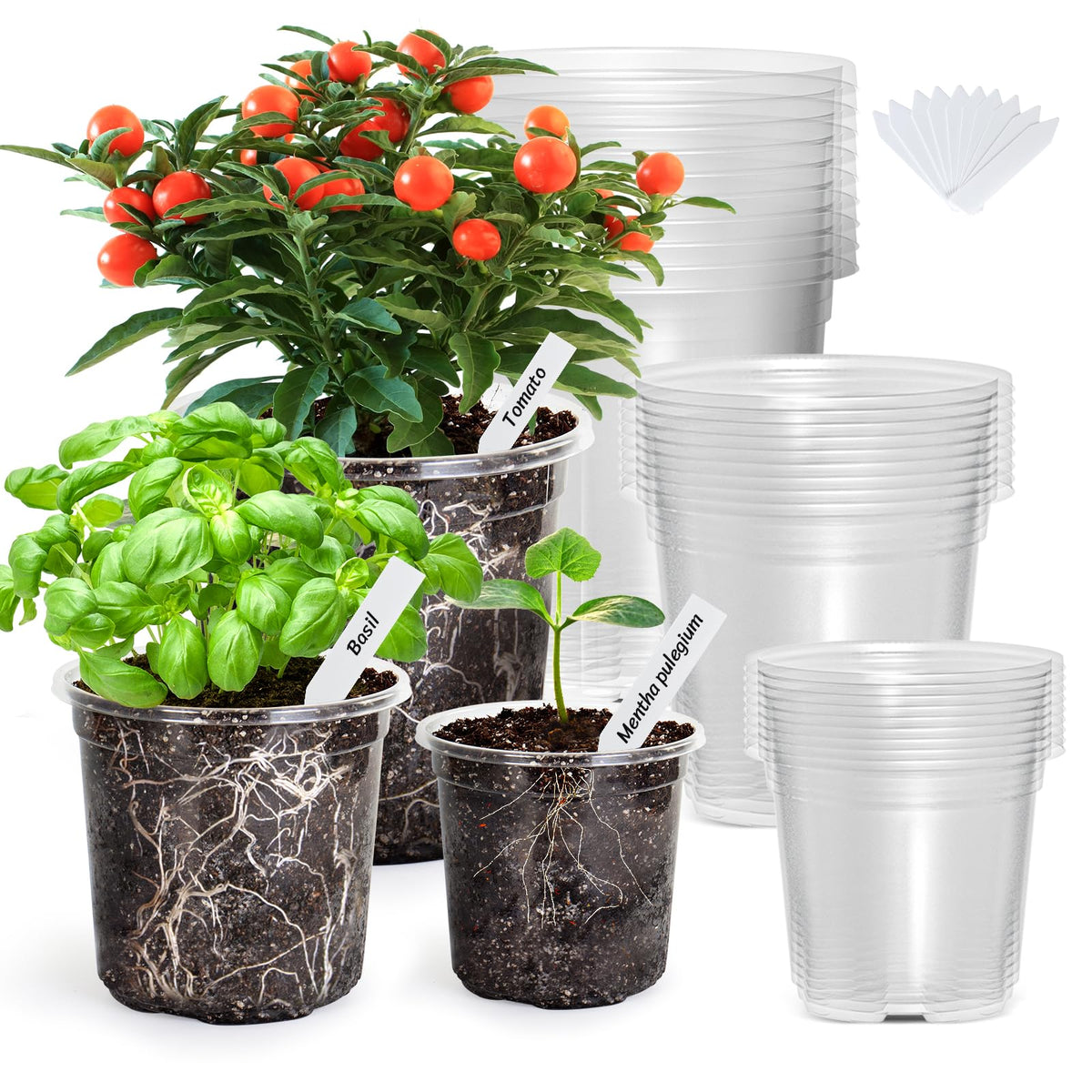 Bonviee Clear Nursery Pots with Drainage Holes, 4/5/7 Inch, 30-Pack