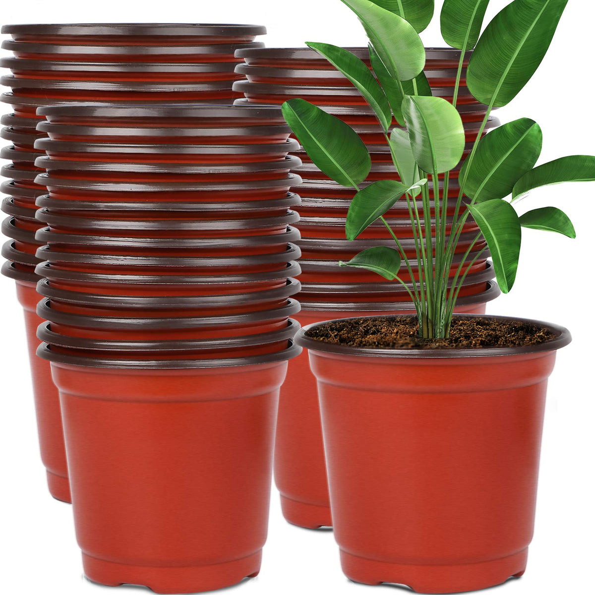 Augshy 110 Pcs 6 Inches Plastic Plants Nursery Pot, Seed Starting Pots