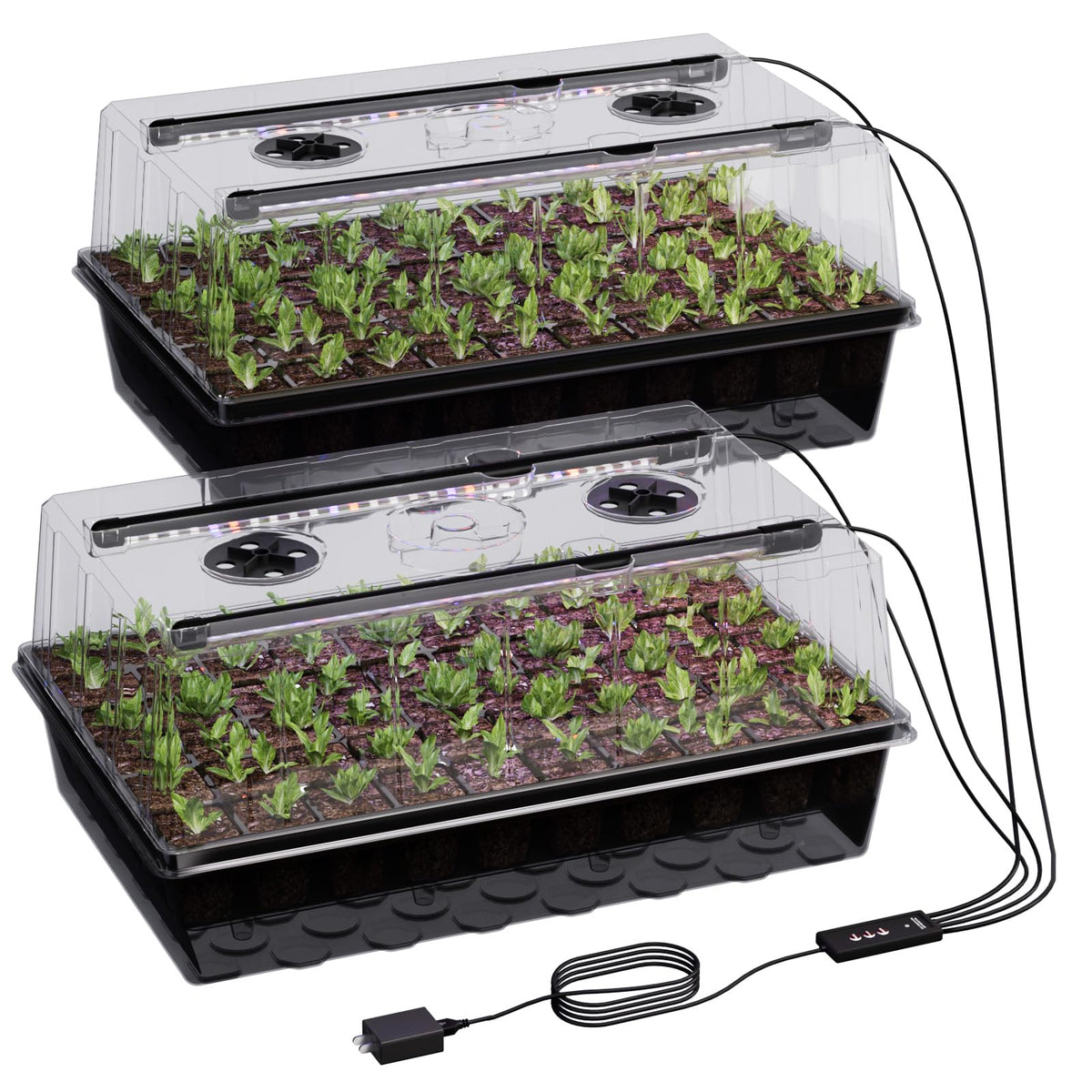 Patigrow 60-Cell Self-Watering Seed Starter Tray with Grow Light, Seed Starter Kit with 4.07” Humidity Dome, Indoor Seedling Starter Tray, Seed Starting Trays for Plant Germination, Seeds Growing