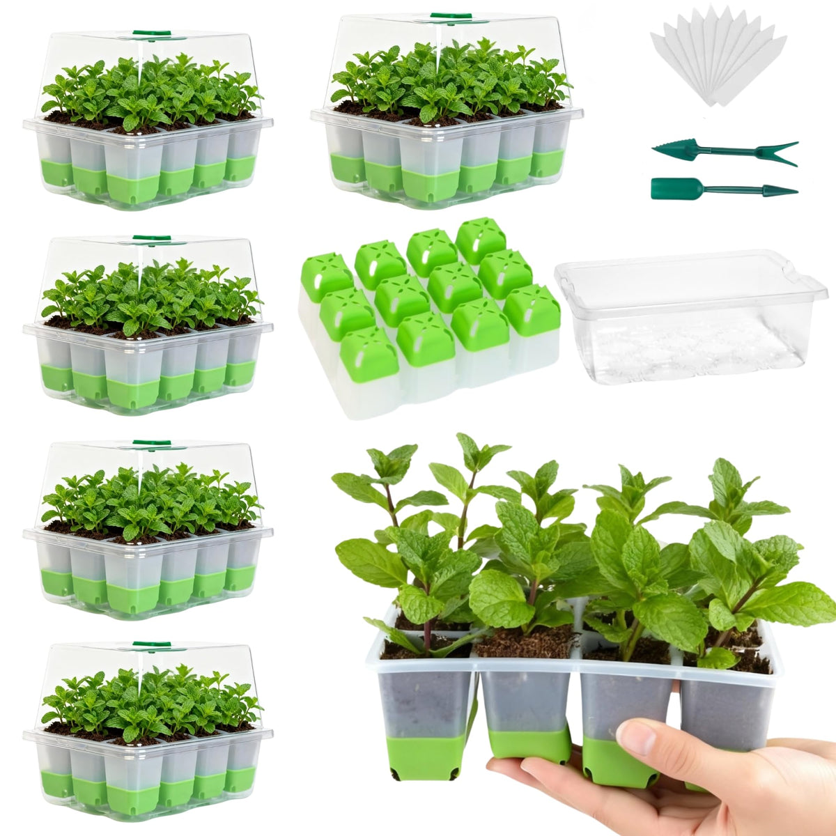 5 Pack 60-Cell Flexible Silicone Seed Starter Trays for Easy Transplant