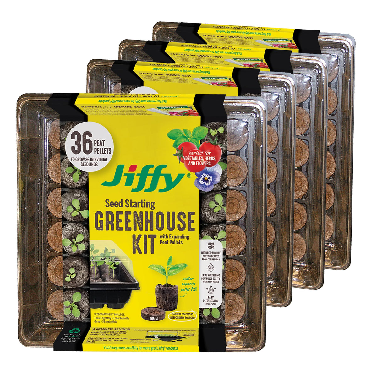 Jiffy Seed Starting Tray Kit - 36 Cell Germination Tray, Portable - 2 Pack, 72 Pellet
