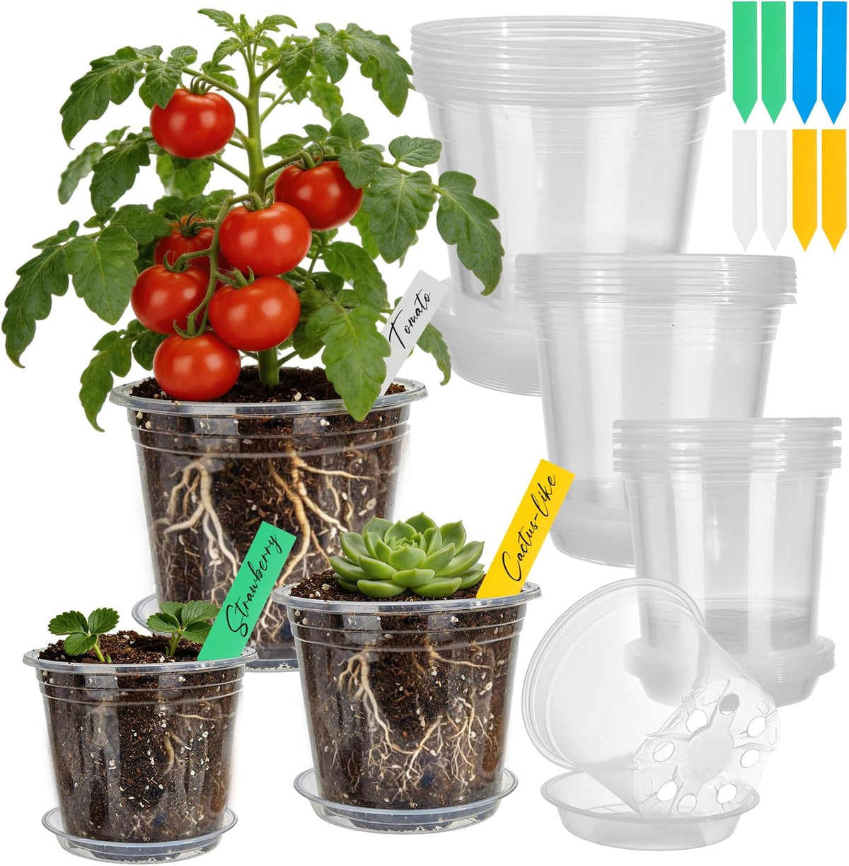 Everyday Easy-Transplant Nursery Pots