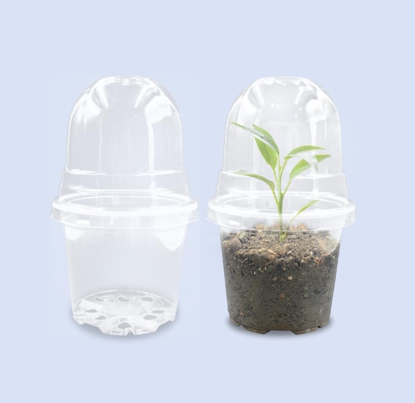 RooTrimmer Transparent Nursery Pots 3.5Inch with Humidity Domes for Seeds Starting, Clear Plastic Plant Pots with Drainage Holes (3.54Inch, 40Pcs,Clear Pots with Lids)
