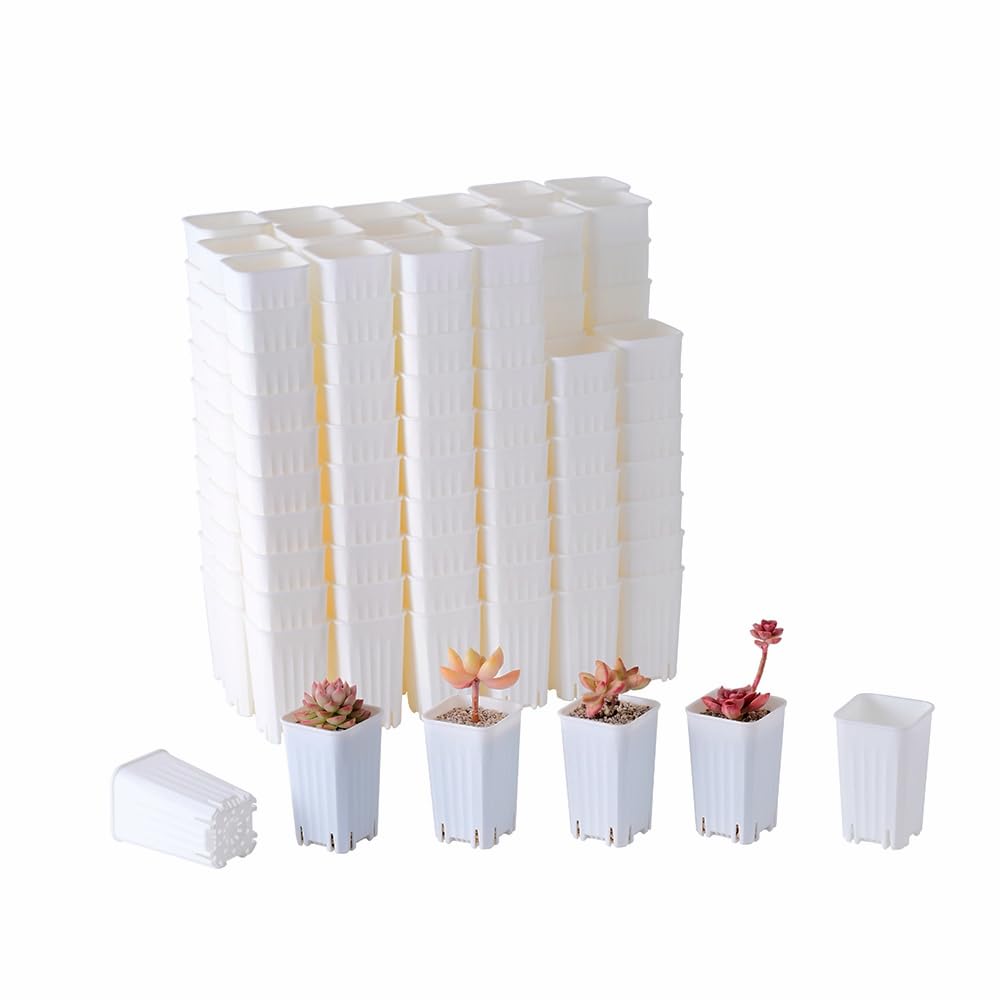 180 Pack 1.95 Inch Tiny Clear Plastic Square Nursery Pot