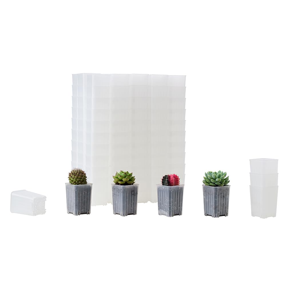 120 Pack 2.40 Inch Small Black Plastic Square Nursery Pot