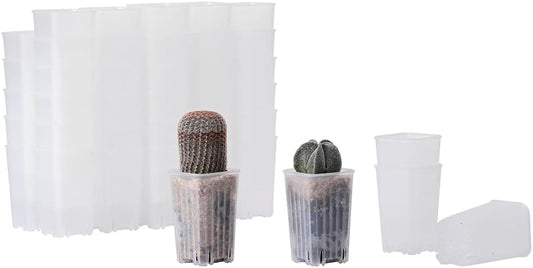60 Pack 1.95 Inch Tiny Clear Plastic Square Nursery Pot