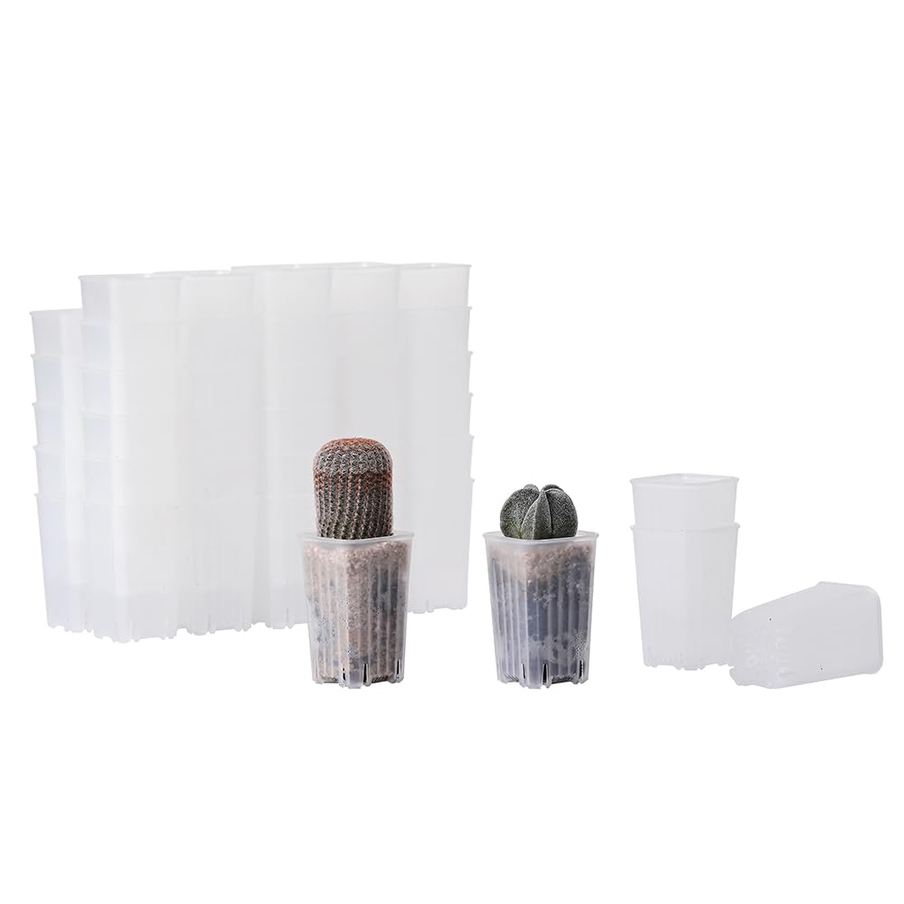 60 Pack 1.95 Inch Tiny Clear Plastic Square Nursery Pot