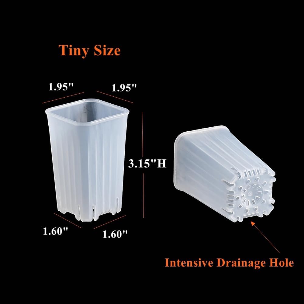 180 Pack 1.95 Inch Tiny Clear Plastic Square Nursery Pot
