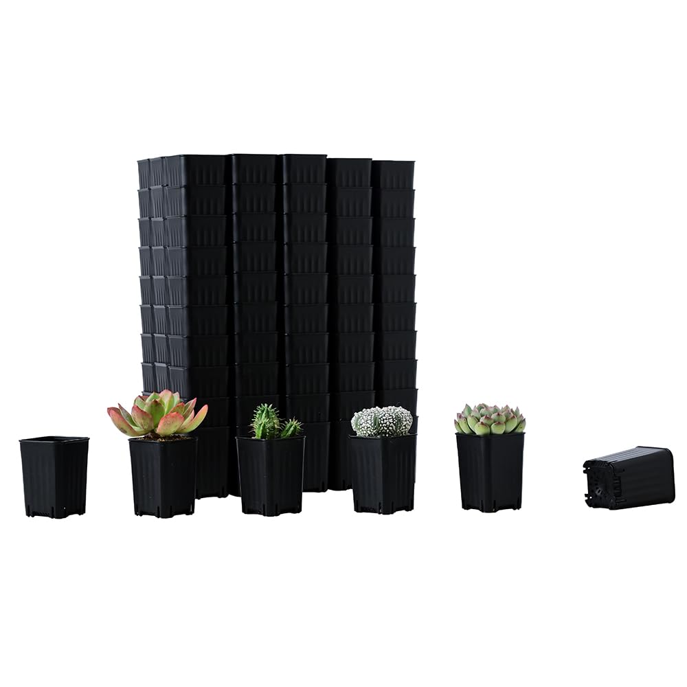 120 Pack 2.40 Inch Small Black Plastic Square Nursery Pot