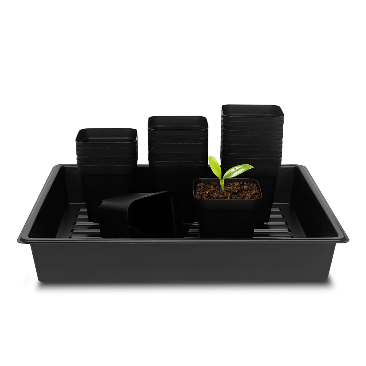 RooTrimmer 10 Pack 2.5 inch Square Pots 3.5 inch Deep 20 Cell Seedling Plug Trays with Water Collection Nursery Trays (15"x11"x3") for Seeds Starting and Transplanting