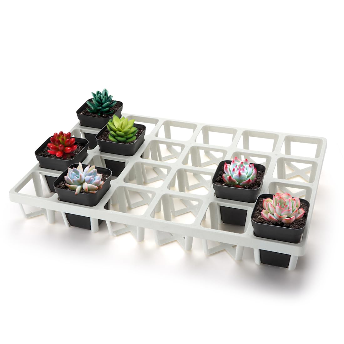 RooTrimmer Square Nursery Pot Tray with 24 Cells, 5 Pack Plant Trays for Pots, Flower Pot Moving Tray, Plastic Planting Tray for Carrying Small Plant Pots(120 Cells in Total