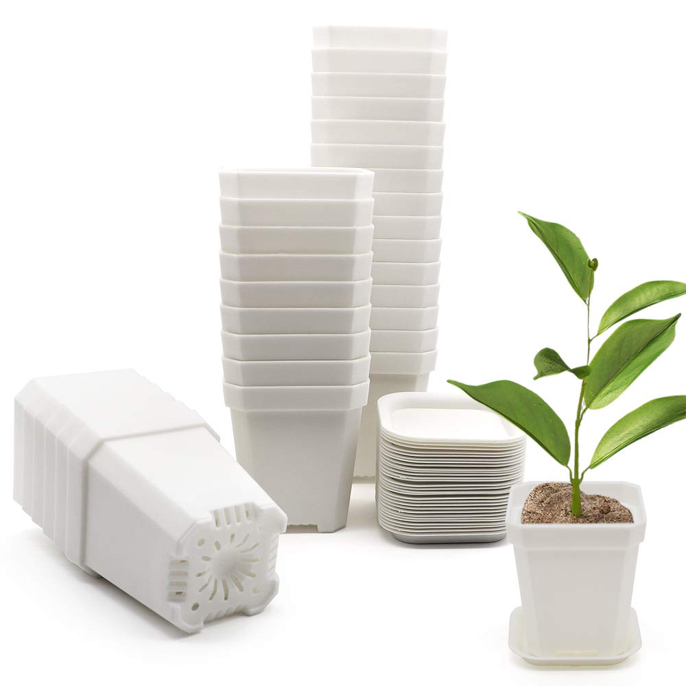 30Pcs 3 Inch Clear Nursery Pots with Saucers, Square Plastic Plant Pot