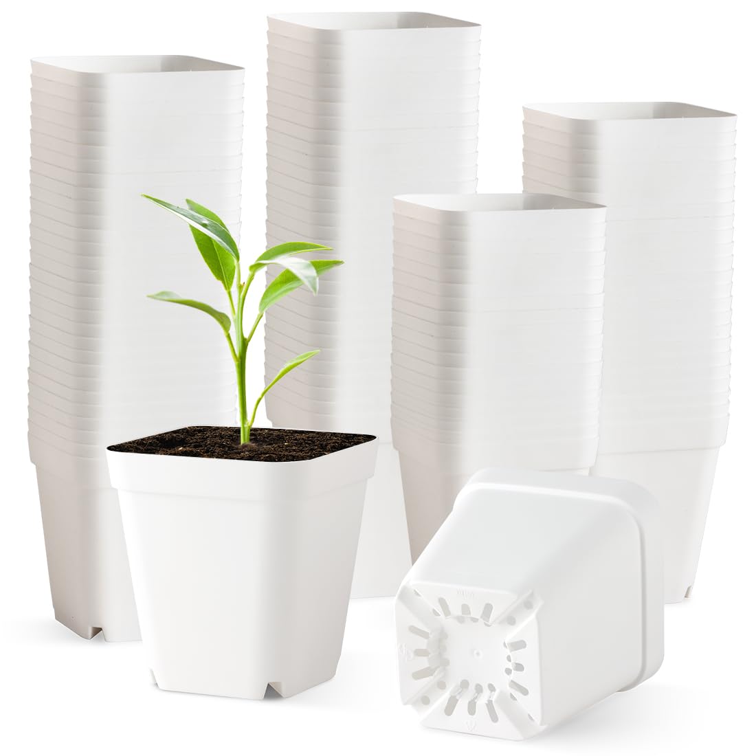 60 Pcs Nursery Pots 2.7 Inch, Plastic Seed Starting Pot with Drainage Holes, Sturdy Seedling pots for Planting, Cuttings (Black)