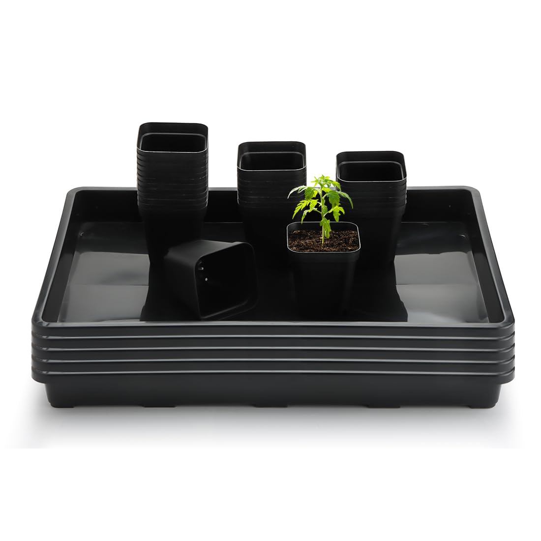 RooTrimmer 10 Pack 2.5 inch Square Pots 3.5 inch Deep 20 Cell Seedling Plug Trays with Water Collection Nursery Trays (15"x11"x3") for Seeds Starting and Transplanting