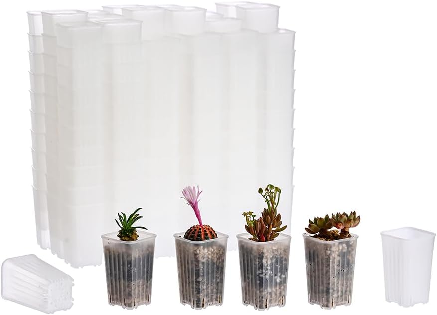 180 Pack 1.95 Inch Tiny Clear Plastic Square Nursery Pot