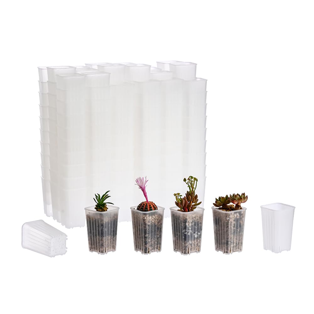 180 Pack 1.95 Inch Tiny Clear Plastic Square Nursery Pot