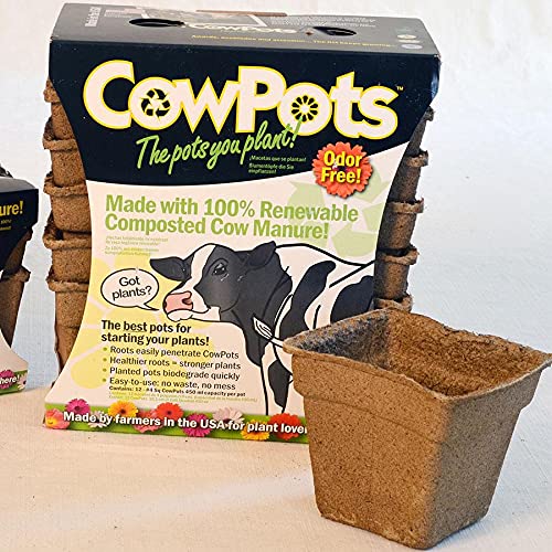 Park Seed CowPots 4-inch Tall Square Nitrogen-Rich Plant Seedling Starter, Set of 12