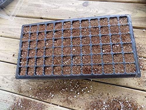 Bootstrap Farmer 50 Cell Seed Starting Trays Extra Strength, 5 Pack, Seedling Tray 1020 Inserts