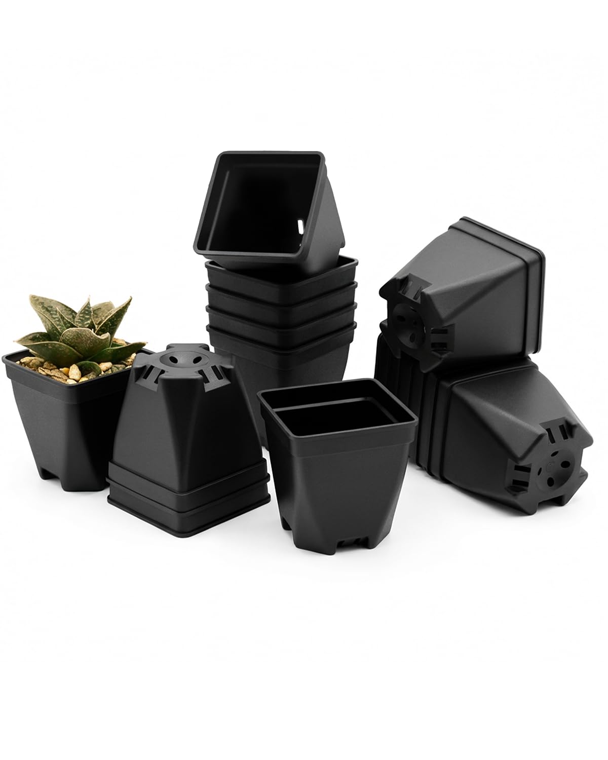 1.5-Inch Nursery Pots, Thick-Walled PP Plastic, for Home, Office & Garden, Seed Starting & Propagation (48, White)
