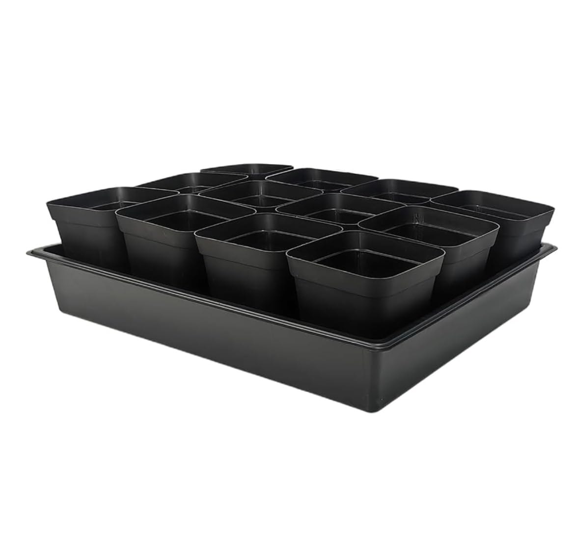 RooTrimmer 10 Pack 2.5 inch Square Pots 3.5 inch Deep 20 Cell Seedling Plug Trays with Water Collection Nursery Trays (15"x11"x3") for Seeds Starting and Transplanting