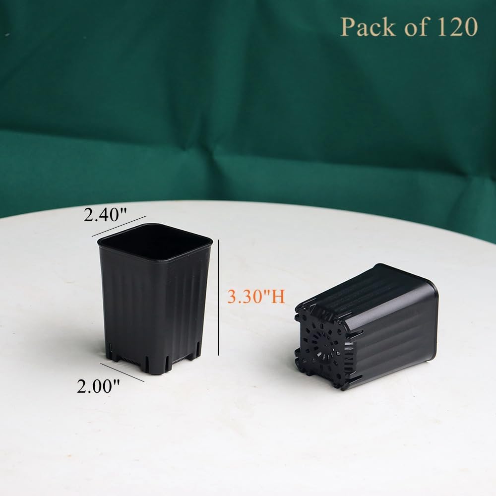 120 Pack 2.40 Inch Small Black Plastic Square Nursery Pot