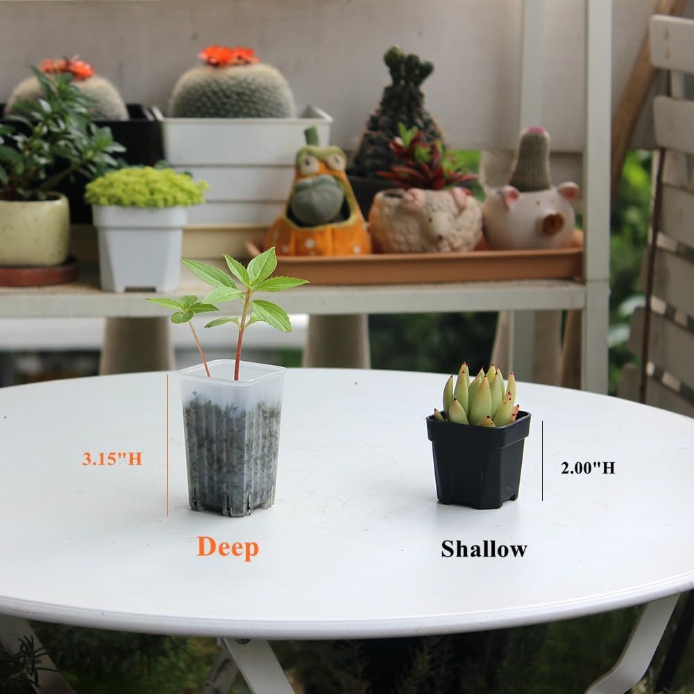 180 Pack 1.95 Inch Tiny Clear Plastic Square Nursery Pot