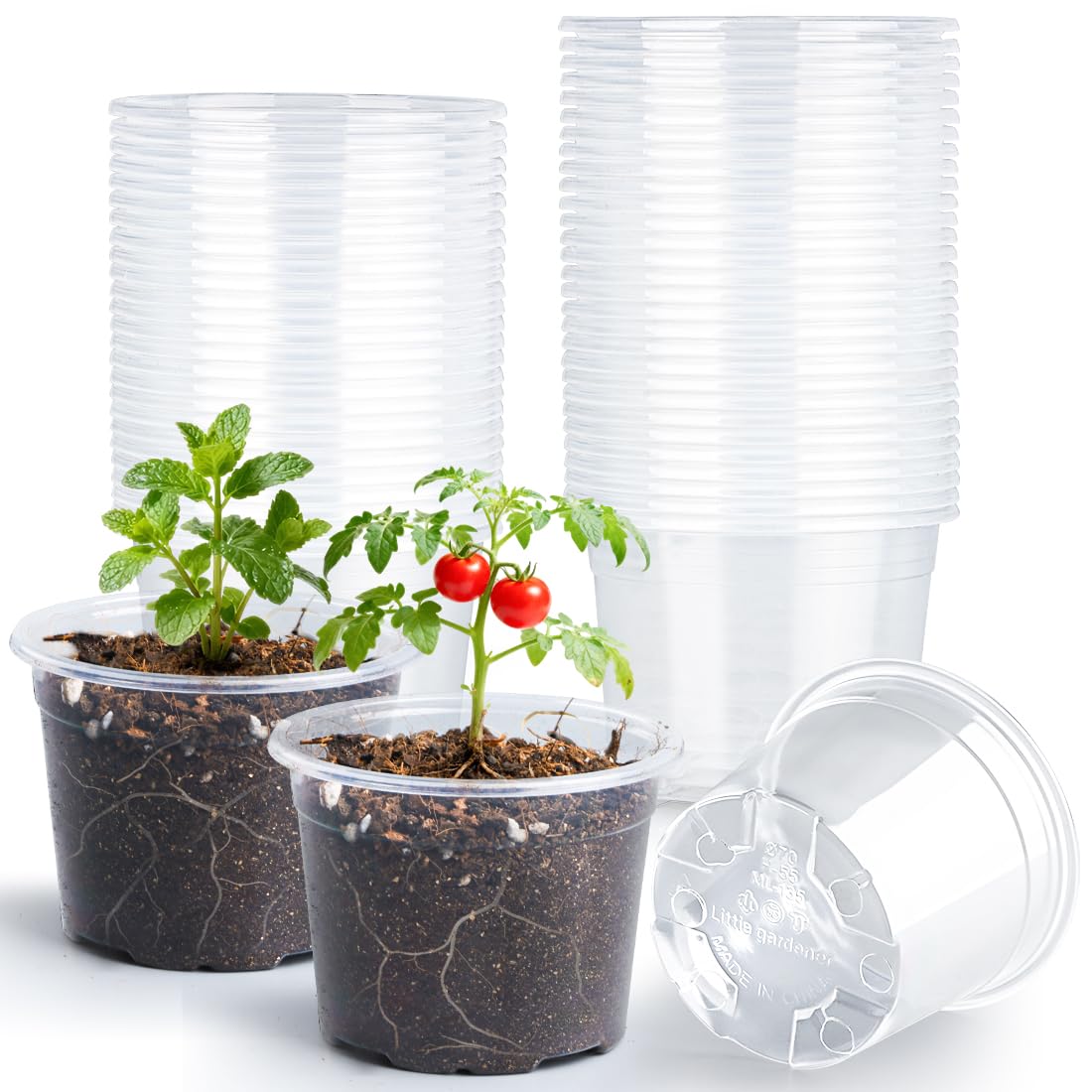 RooTrimmer 4" Clear Seeding Pots 50-Pack Round for Seeds Starting, Seeds Germination Transparent Nursery Pots with Drainage Holes (4Inch,Clear,50Pcs)